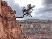 Grand Canyon National Park