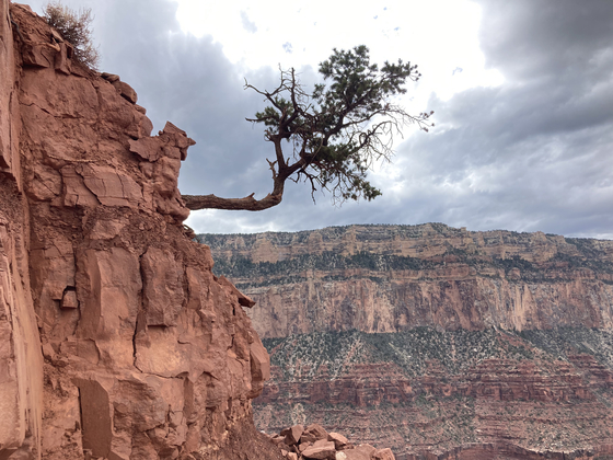 Grand Canyon National Park