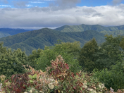Blue Ridge. Parkway