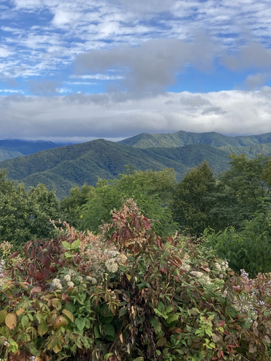 Blue Ridge. Parkway