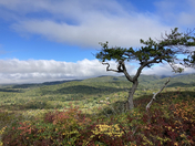 Blue Ridge Parkway