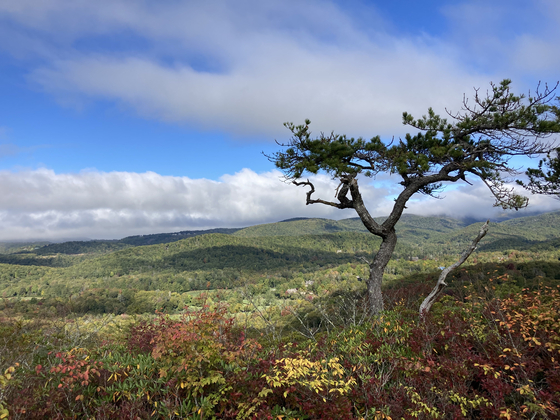 Blue Ridge Parkway