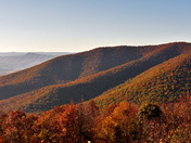 Shenandoah National Park