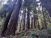Smith River National Recreation Area