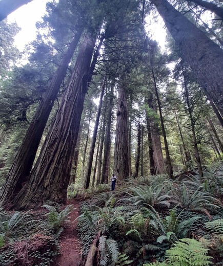 Smith River National Recreation Area