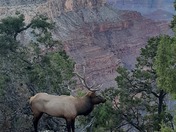 Grand Canyon National Park