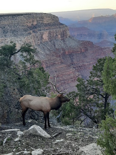 Grand Canyon National Park
