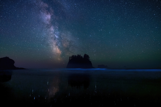 Olympic National Park