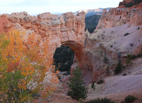 Bryce Canyon National Park