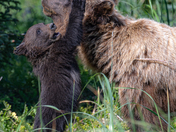 Lake Clark National Park and Preserve