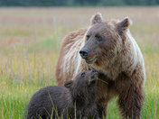 Lake Clark National Park and Preserve