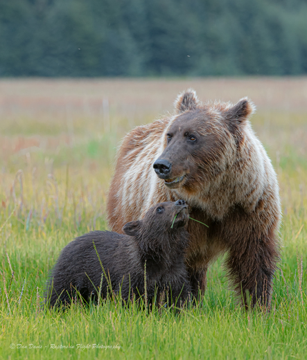 Lake Clark National Park and Preserve