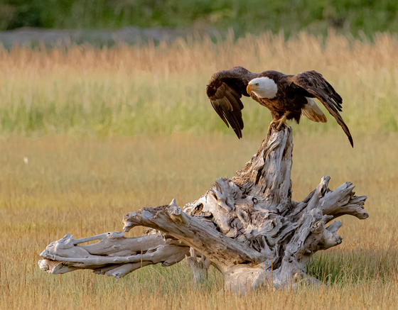 Lake Clark National Park and Preserve
