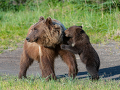 Lake Clark National Park and Preserve