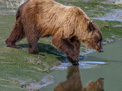 Lake Clark National Park and Preserve