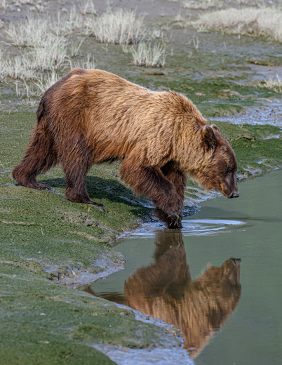 Lake Clark National Park and Preserve