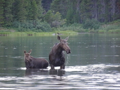 Glacier National Park