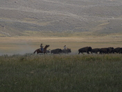 Yellowstone National Park