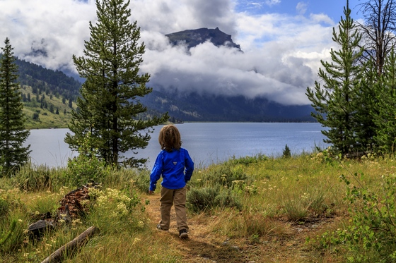 Bridger-Teton National Forest