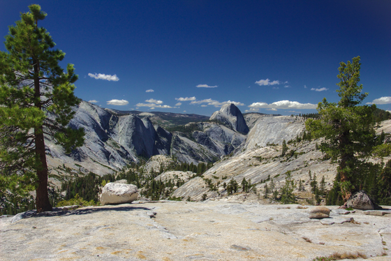 Yosemite National Park