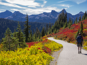Mt. Rainier National Park