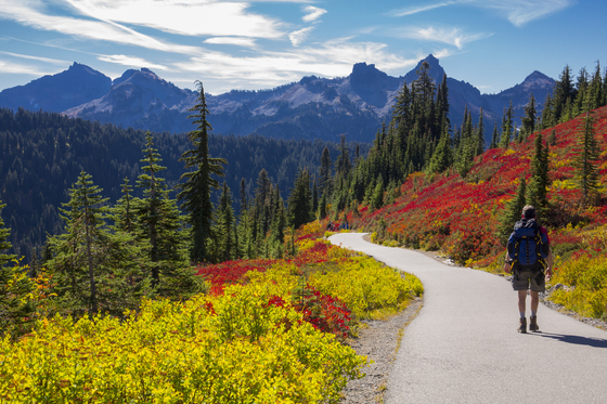 Mt. Rainier National Park