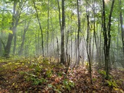 Isle Royale National Park