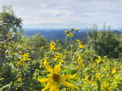 Shenandoah National Park