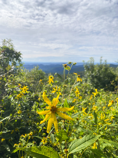 Shenandoah National Park