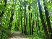 Shenandoah National Park