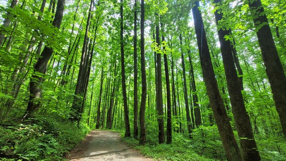 Shenandoah National Park