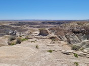 Petrified forest national park