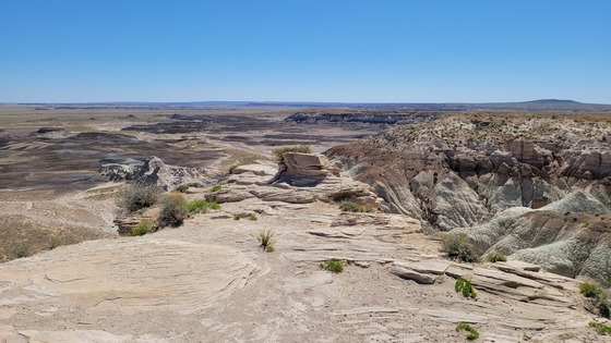 Petrified forest national park
