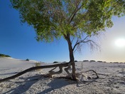 White Sands National Park