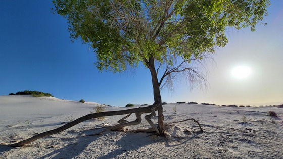 White Sands National Park