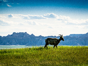 Badlands National Park
