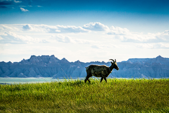 Badlands National Park