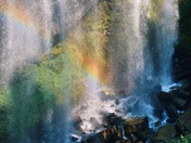 Mount Rainier National Park