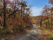 Walking in Pembina Valley