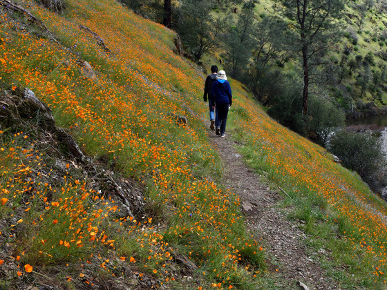 Sierra National Forest