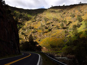 Sierra National Forest