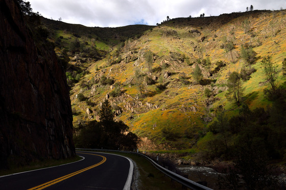 Sierra National Forest