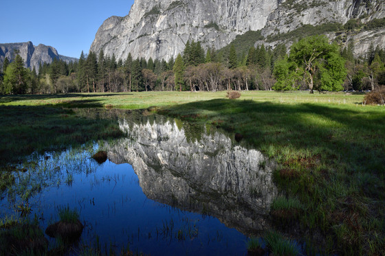 Yosemite National Park