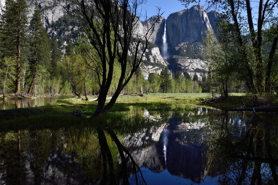 Yosemite National Park