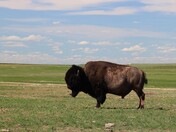 Badlands National Park