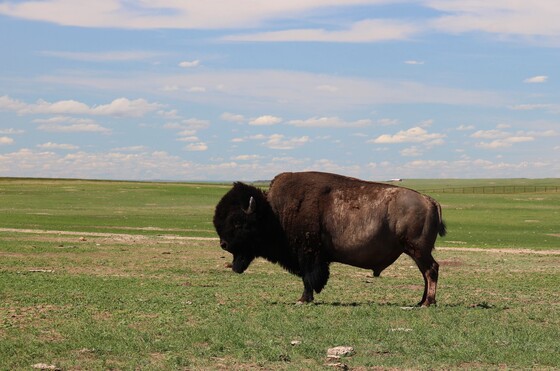 Badlands National Park