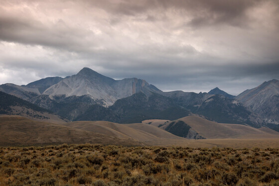 Challis National Forest