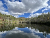 Pisgah National Forest