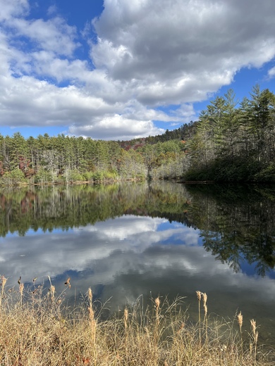 Pisgah National Forest