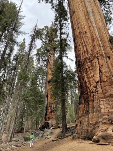 Sequoia National Park